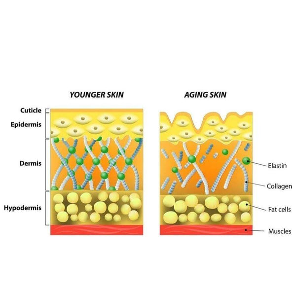 Matrixyl vs Hyaluronic Acid