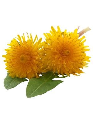 Skin Perfection best sellers collection showcasing dandelion-infused skincare products with peptide blends for glowing skin