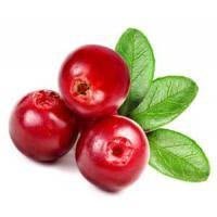 Organic Cranberry