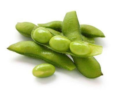 Soy Protein