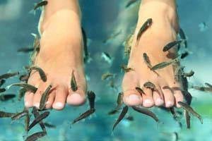 Callus Removal - Skin Perfection Natural and Organic Skin Care