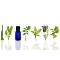 Essential Oils - Skin Perfection Natural and Organic Skin Care