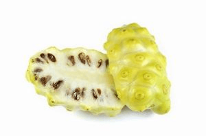 Noni Seed Oil - Skin Perfection Natural and Organic Skin Care