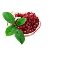 Pomegranate - Skin Perfection Natural and Organic Skin Care
