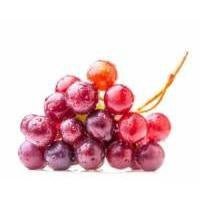 Resveratrol - Skin Perfection Natural and Organic Skin Care