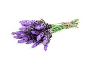 Lavender - Skin Perfection Natural and Organic Skin Care