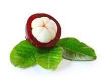 Mangosteen - Skin Perfection Natural and Organic Skin Care