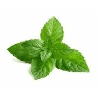 Peppermint