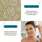 phytocell rejuvenates and protects skin cells for a youthful glow