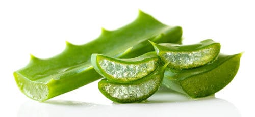 Aloe Vera Gel Base for Making Skincare Products